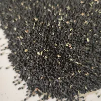 تره شادگانی ‌