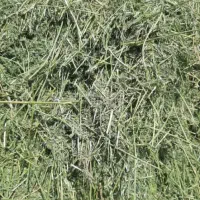 یونجه خورد شده در  گونی / آماده تحویل /