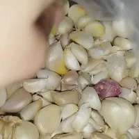 سیر دون شده سیر همدان|خوردنی و آشامیدنی|تهران, بهارستان|دیوار