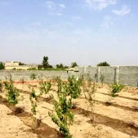 زمین۲۰۰۰متری باقابلیت ساخت باغ ویلا مزرعه شور(سجزی