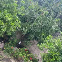 ویلا شخصی محله دزدک - نوشهر