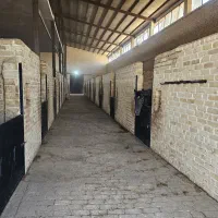 اجاره باشگاه سوارکاری