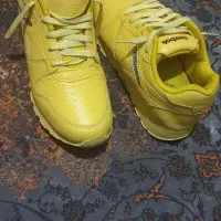 کتونی|کیف، کفش، کمربند|قم, پردیسان|دیوار