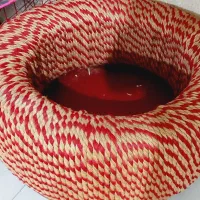 لاستیک کنفی میزی