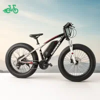 دوچرخه برقی فت بایک چرخ بزرگ