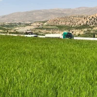 فروش-فوری-زمین-1000-متری-خوش-موقعیت-با-سند-تک-برگ