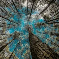 سلام  پیشنهاد بدین برای تفریح