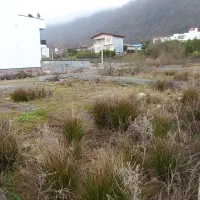 زمین-ویلایی-کلارآباد-یالبندان