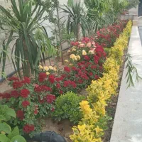خدمات باغبانی قطره‌ای سمپاشی هرس کاشت فضای سبز
