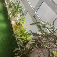 آپارتمان 110متری کیهان|فروش آپارتمان|زنجان, |دیوار