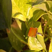 آموزش صفر تا صد طلاسازی در ۳ ماه|خدمات آموزشی|شیراز, نصر|دیوار