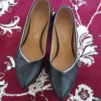 کیف کفش مجلسی