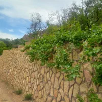 باغچه واقع در بافت قدیم قلات