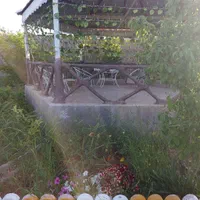 معاوضه باغ شهری سیاخ با خودرو و آپارتمان|فروش دفتر صنعتی، کشاورزی، تجاری|شیراز, شهرک ولیعصر|دیوار
