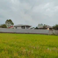 زمین کشاورزی سنتی/1600متر/نزدیک مسکونی