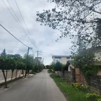 ۱۲۴۰ متر زمین مزگاه  نوروزی مالک هستم /کاسبی اقساط|فروش زمین و ملک کلنگی|نوشهر, |دیوار