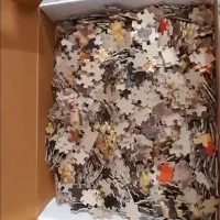 پازل نو|اسباببازی|پرند, فاز ۶|دیوار