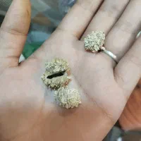 بابونه آویشن و آویشن و گل محمدی|آرایشی، بهداشتی، درمانی|برازجان, |دیوار