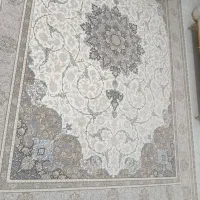 فرش نو نو ۱۲۰۰ شونه قیمت ۲۰ ملیون|فرش|دلیجان, |دیوار