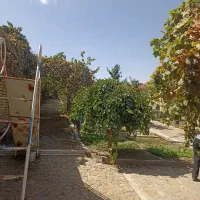 سازندگان زمین با ۷سقف پروانه ،تسویه،فرامرزعباسی