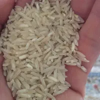 برنج ضیغمی با کیفیت