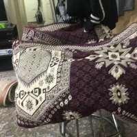 روفرشی در حد نو/ فوری