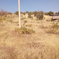 ۳هزار متر زمین کشاورزی روی خیابان اصلی|فروش زمین و ملک کلنگی|مریوان, |دیوار