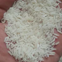 برنج سالم ودرشت هاشمی