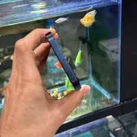 12normal|موبایل|شیراز, زند|دیوار