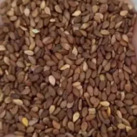 کنجد قهوه ای