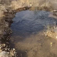 زمین درخت میوه|فروش زمین و ملک کلنگی|بهار, |دیوار