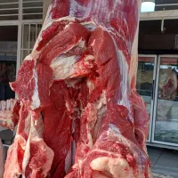 گوشت|خوردنی و آشامیدنی|ایلام, |دیوار