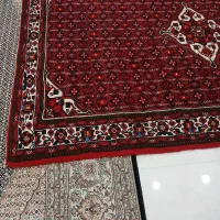 قالی ۲×۳دستبافت|فرش|همدان, |دیوار