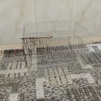 قفس پرندگان