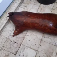 روغن زردگوسفندی