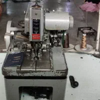 مادگی چشمی مینروا