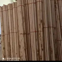 دسته بیل|ابزارآلات|بزینه رود, |دیوار