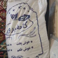 فروش برنج کامیفروزی  چهارصد تا پانصد کیلو