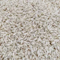 برنج درجه یک لرستان