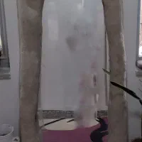 اینه دکوراتیو پاپیه ماشه