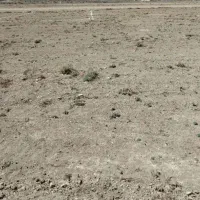 فروش-زمین-محله-سی-ان-جی-شهرکیان