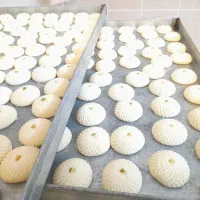 شیرینی خانگی سبزوار|خدمات پذیرایی، مراسم|مشهد, کارگران|دیوار