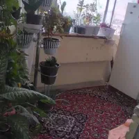 آپارتمان