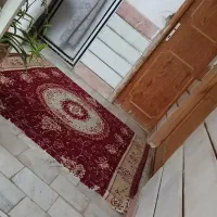 سوئیت|اجارهٔ کوتاه‌مدت آپارتمان و سوئیت|گالیکش, |دیوار