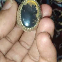 انگشتر شجر