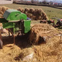 برنج درشت سرلاشه نیم دانه و تخم جو هاشمی