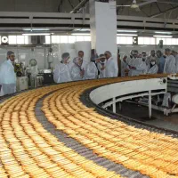 جذب نیرو در کارخانه تولید کیک و بیسکوئیت