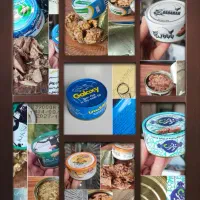 تن ماهی گالکسی