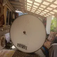 طبل