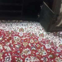 میز تلویزیون ام دی اف سالم ونو|میز تلویزیون|زابل, |دیوار